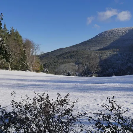 Du Pre Au Miel En Plein Coeur De L'alsace Casa de Férias *