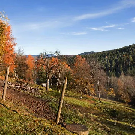 Casa de Férias Du Pre Au Miel En Plein Coeur De L'alsace *