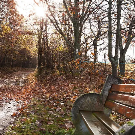 Casa de Férias Du Pre Au Miel En Plein Coeur De L'alsace
