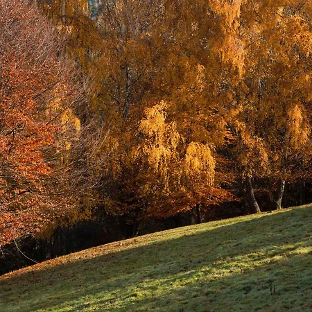 Du Pre Au Miel En Plein Coeur De L'alsace * Sainte-Croix-aux-Mines