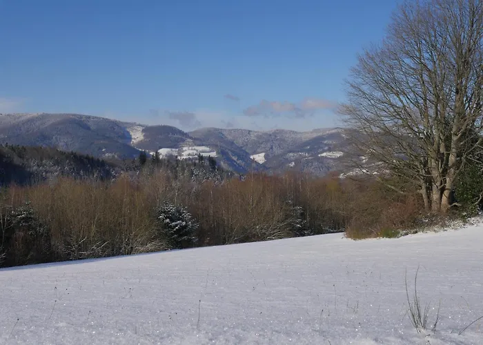 Casa vacanze Du Pré Au Miel En Plein Coeur De L'alsace
