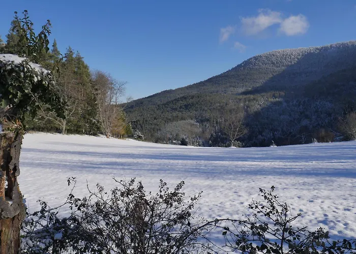 Du Pré Au Miel En Plein Coeur De L'alsace Casa vacanze *