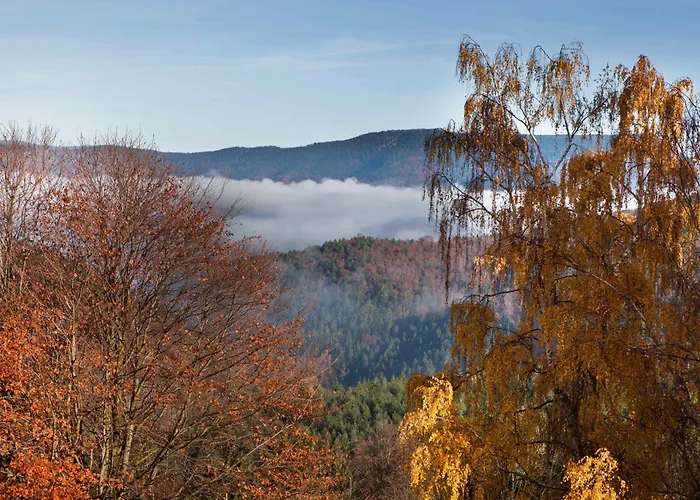 Du Pré Au Miel En Plein Coeur De L'alsace Casa vacanze *