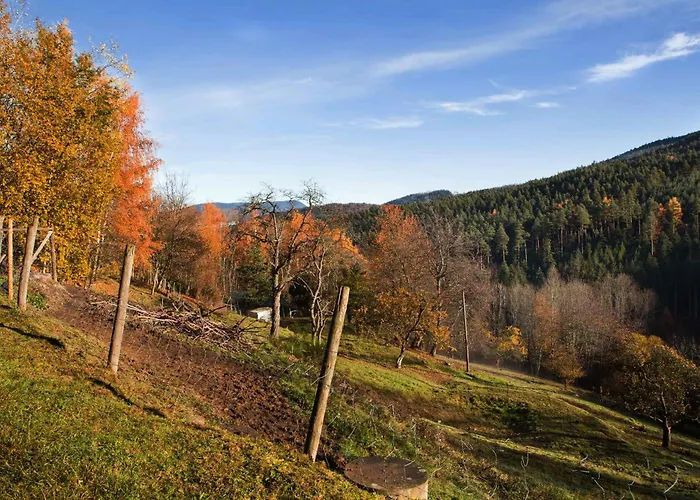 Casa vacanze Du Pré Au Miel En Plein Coeur De L'alsace *