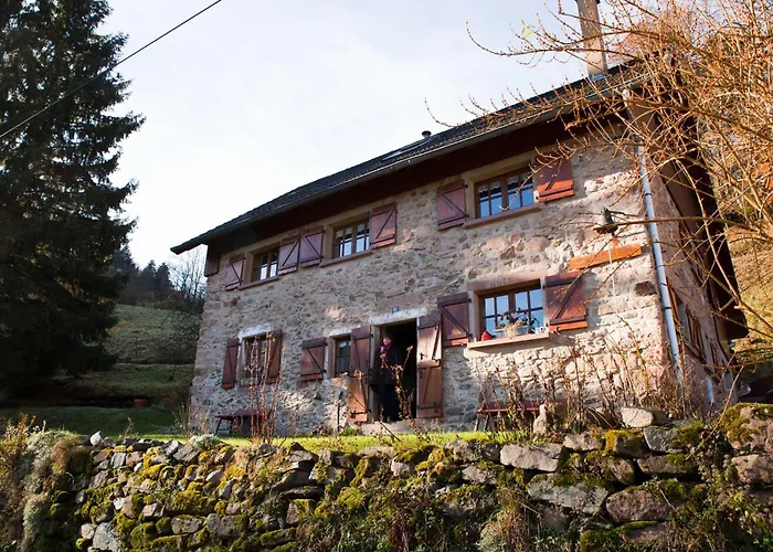 Du Pré Au Miel En Plein Coeur De L'alsace Casa vacanze *