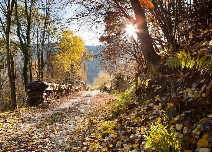 Du Pré Au Miel En Plein Coeur De L'alsace *