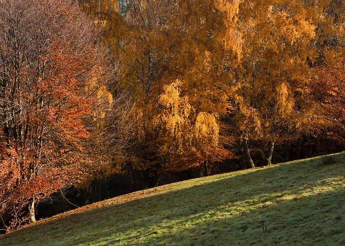 Du Pré Au Miel En Plein Coeur De L'alsace * Sainte-Croix-aux-Mines